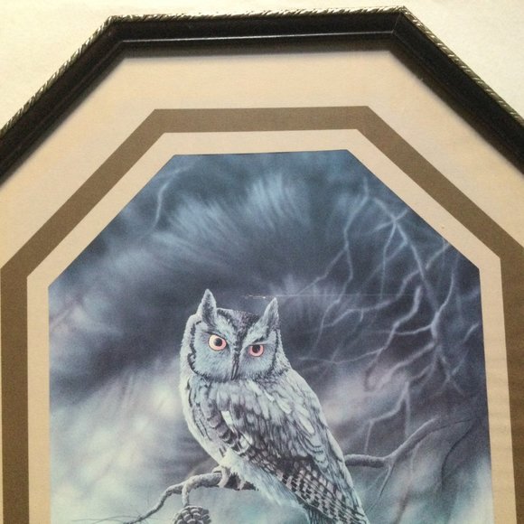 Owl print with octagon frame wall decor - Picture 2 of 5